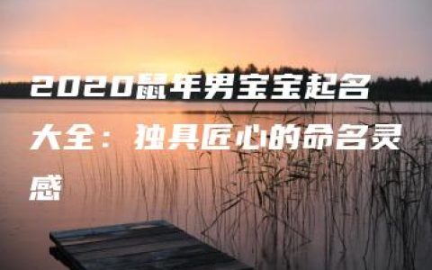 2020鼠年男宝宝起名大全：独具匠心的命名灵感