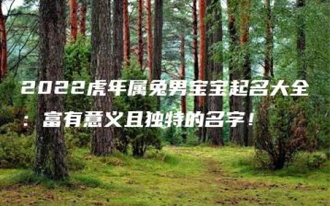 2022虎年属兔男宝宝起名大全：富有意义且独特的名字！