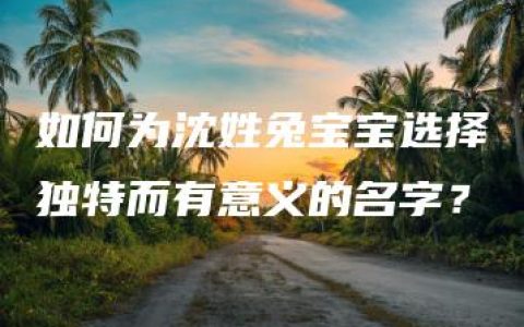 如何为沈姓兔宝宝选择独特而有意义的名字？