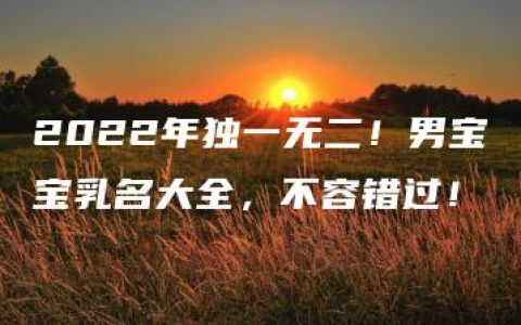 2022年独一无二！男宝宝乳名大全，不容错过！