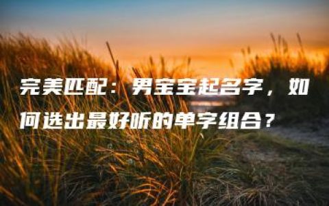 完美匹配：男宝宝起名字，如何选出最好听的单字组合？