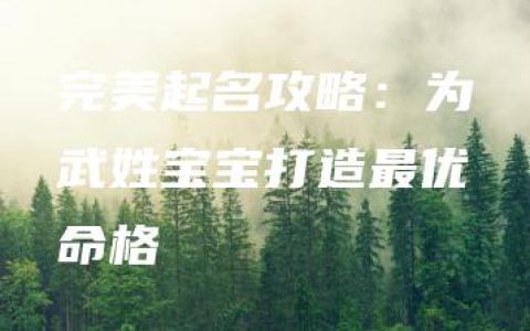 完美起名攻略：为武姓宝宝打造最优命格