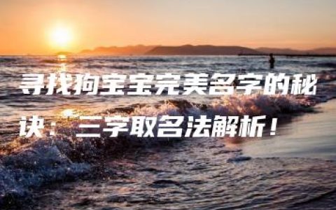 寻找狗宝宝完美名字的秘诀：三字取名法解析！