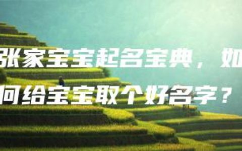 张家宝宝起名宝典，如何给宝宝取个好名字？