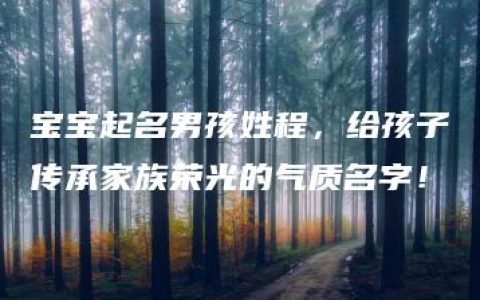 宝宝起名男孩姓程，给孩子传承家族荣光的气质名字！