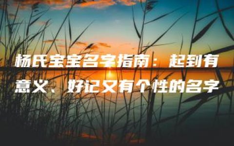 杨氏宝宝名字指南：起到有意义、好记又有个性的名字