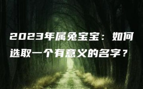 2023年属兔宝宝：如何选取一个有意义的名字？