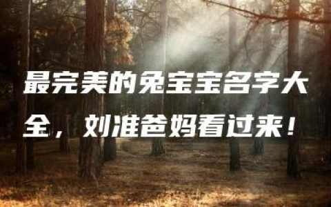 最完美的兔宝宝名字大全，刘准爸妈看过来！