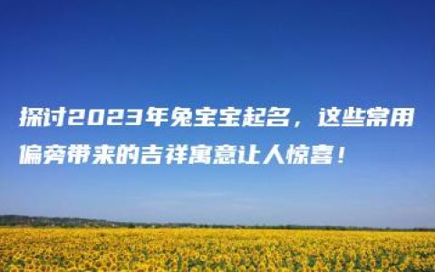 探讨2023年兔宝宝起名，这些常用偏旁带来的吉祥寓意让人惊喜！