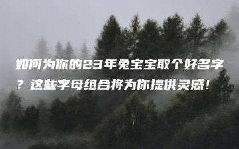 如何为你的23年兔宝宝取个好名字？这些字母组合将为你提供灵感！