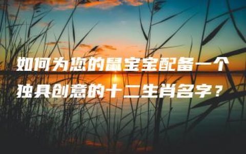 如何为您的鼠宝宝配备一个独具创意的十二生肖名字？