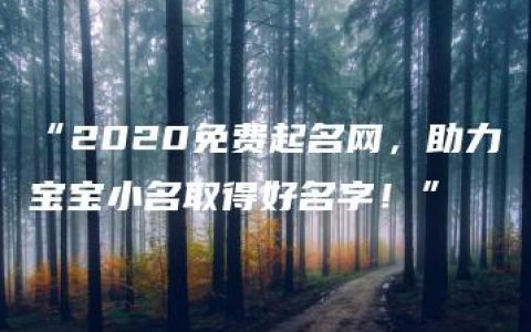 “2020免费起名网，助力宝宝小名取得好名字！”