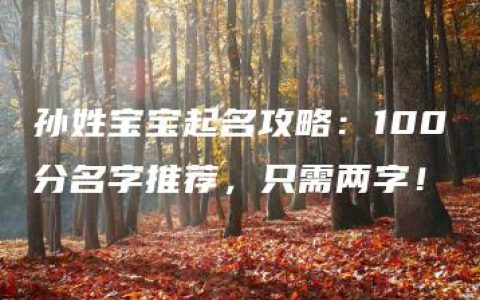 孙姓宝宝起名攻略：100分名字推荐，只需两字！