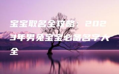 宝宝取名全攻略：2023年男兔宝宝必备名字大全