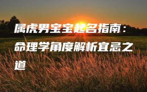 属虎男宝宝起名指南：命理学角度解析宜忌之道