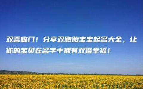 双喜临门！分享双胞胎宝宝起名大全，让你的宝贝在名字中拥有双倍幸福！