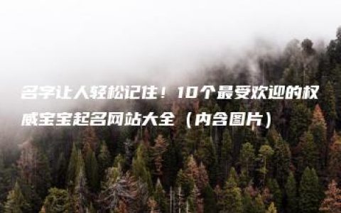 名字让人轻松记住！10个最受欢迎的权威宝宝起名网站大全（内含图片）