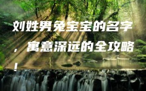 刘姓男兔宝宝的名字，寓意深远的全攻略！