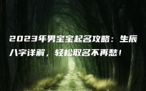 2023年男宝宝起名攻略：生辰八字详解，轻松取名不再愁！