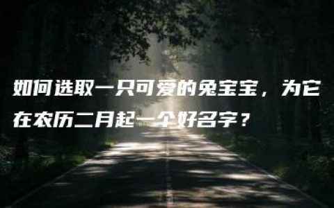 如何选取一只可爱的兔宝宝，为它在农历二月起一个好名字？