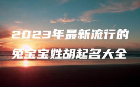 2023年最新流行的兔宝宝姓胡起名大全