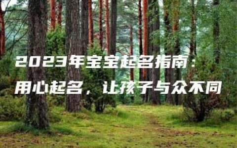 2023年宝宝起名指南：用心起名，让孩子与众不同