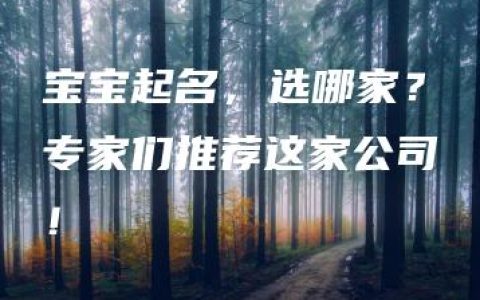 宝宝起名，选哪家？专家们推荐这家公司！