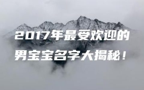 2017年最受欢迎的男宝宝名字大揭秘！