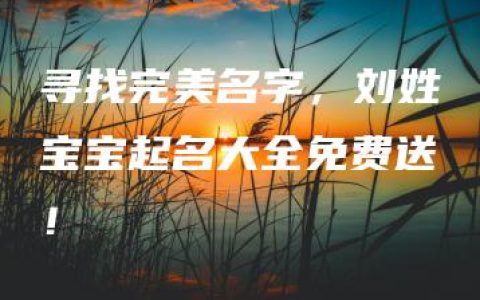 寻找完美名字，刘姓宝宝起名大全免费送！