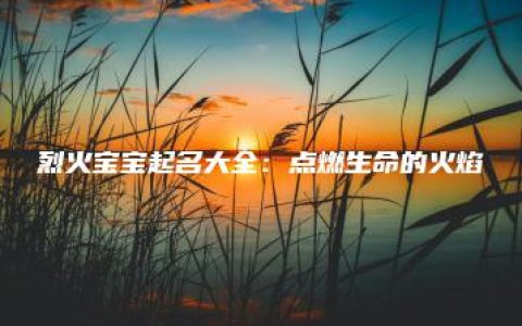 烈火宝宝起名大全：点燃生命的火焰