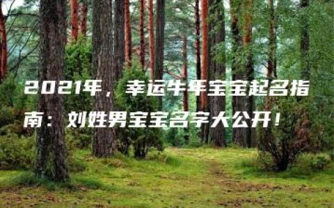 2021年，幸运牛年宝宝起名指南：刘姓男宝宝名字大公开！