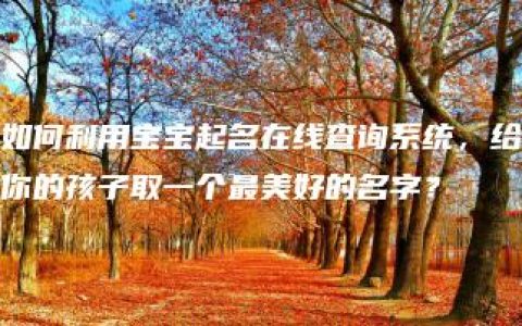 如何利用宝宝起名在线查询系统，给你的孩子取一个最美好的名字？