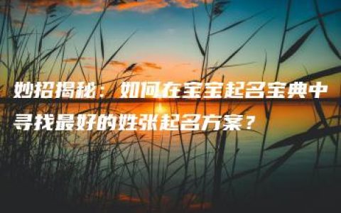 妙招揭秘：如何在宝宝起名宝典中寻找最好的姓张起名方案？