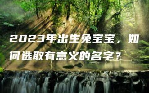 2023年出生兔宝宝，如何选取有意义的名字？