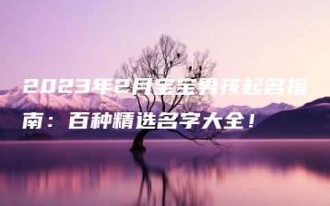 2023年2月宝宝男孩起名指南：百种精选名字大全！