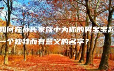 如何在孙氏家族中为你的男宝宝起一个独特而有意义的名字？