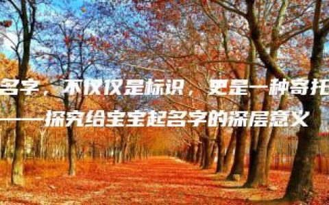 名字，不仅仅是标识，更是一种寄托——探究给宝宝起名字的深层意义