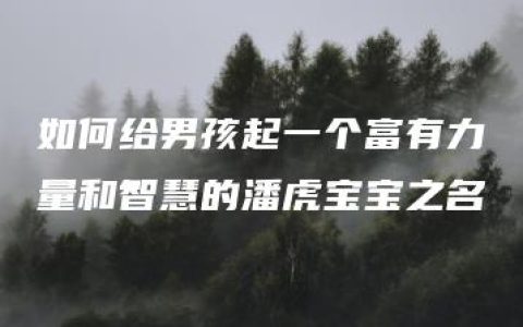 如何给男孩起一个富有力量和智慧的潘虎宝宝之名