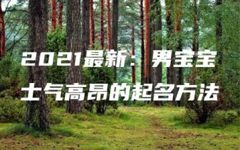 2021最新：男宝宝士气高昂的起名方法