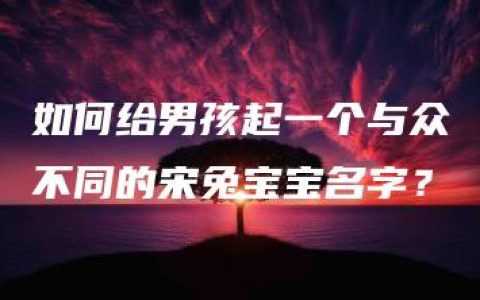 如何给男孩起一个与众不同的宋兔宝宝名字？