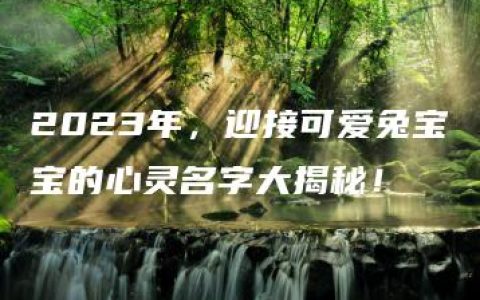 2023年，迎接可爱兔宝宝的心灵名字大揭秘！