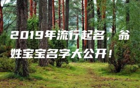 2019年流行起名，翁姓宝宝名字大公开！