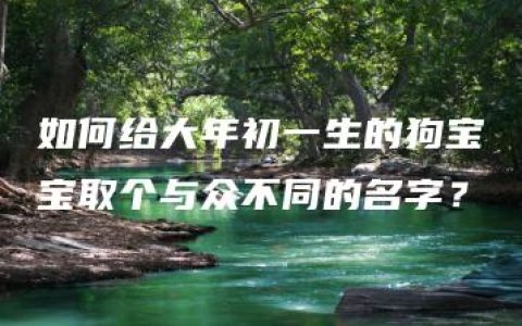 如何给大年初一生的狗宝宝取个与众不同的名字？