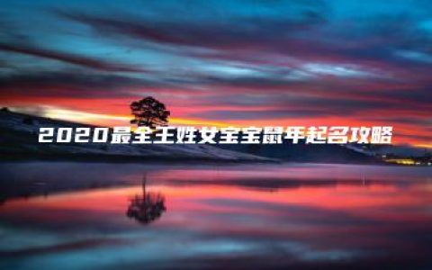 2020最全王姓女宝宝鼠年起名攻略