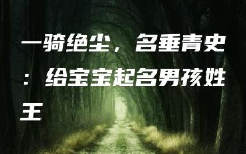 一骑绝尘，名垂青史：给宝宝起名男孩姓王