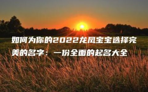 如何为你的2022龙凤宝宝选择完美的名字：一份全面的起名大全