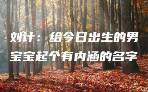 刘计：给今日出生的男宝宝起个有内涵的名字