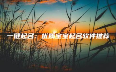 一键起名：优质宝宝起名软件推荐