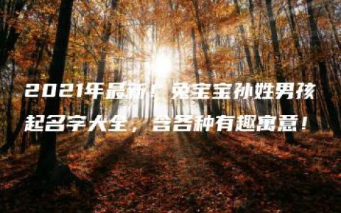 2021年最新！兔宝宝孙姓男孩起名字大全，含各种有趣寓意！