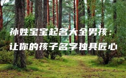 孙姓宝宝起名大全男孩：让你的孩子名字独具匠心